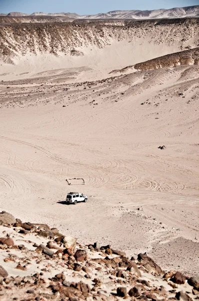 Desierto — Foto de Stock