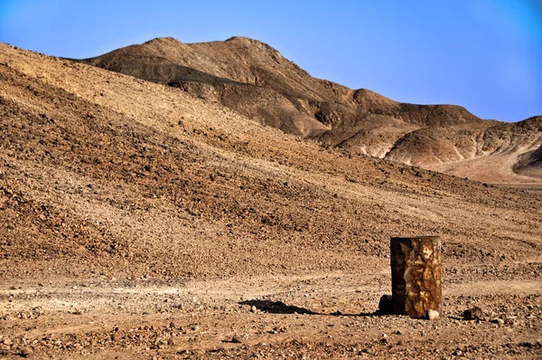 Desierto — Foto de Stock