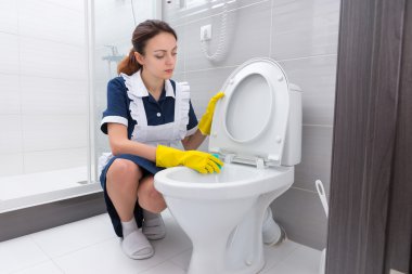 Ev işlerinde yardımcı tuvalet kenar Temizleme