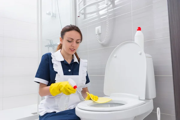 Cheerful maid cleaning toilet seat — Stock Photo, Image