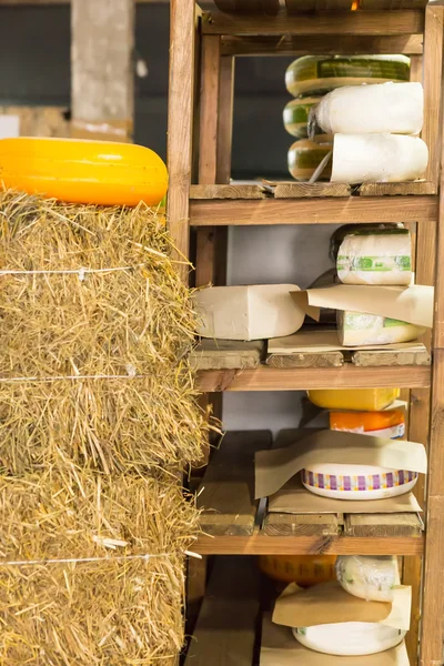 Assorted wheels of cheese on rustic wooden shelves — Stock Photo, Image