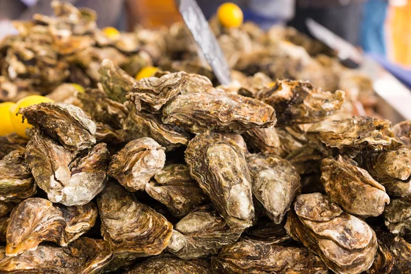 Gastronomische vers slipper oesters te koop — Stockfoto