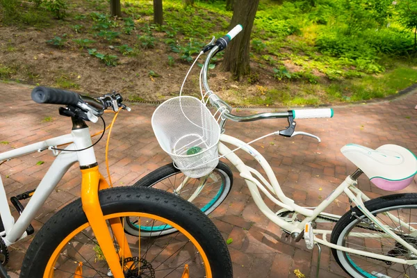 Paire de vélos sur briques dans un parc — Photo