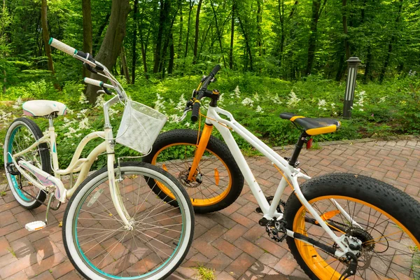 Paire de vélos sur briques dans un parc enchanteur — Photo