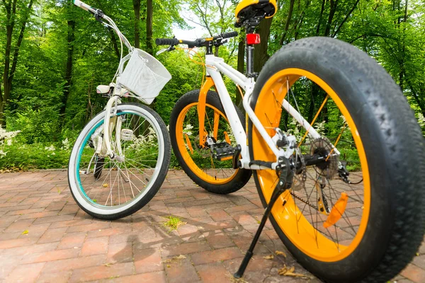 Chiudere biciclette da donna e da uomo su mattoni in un parco — Foto Stock