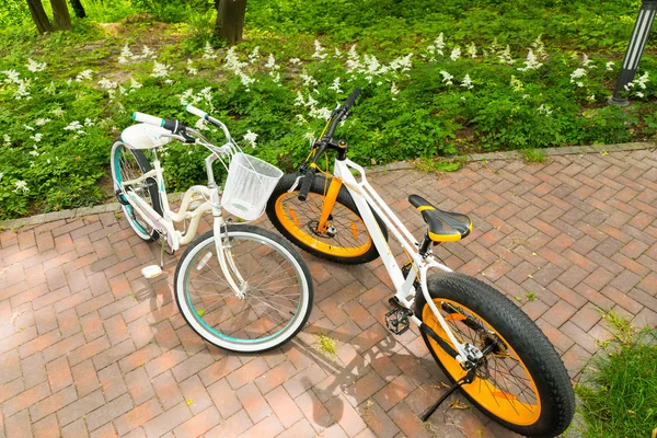 Женские и мужские велосипеды на кирпичах в парке — стоковое фото