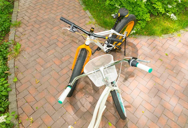 Vue de dessus des vélos pour femmes et hommes en briques dans un parc — Photo