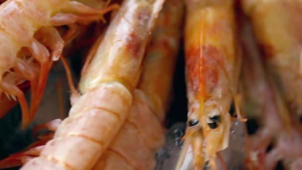Закрыть на приготовленные свежие розовые креветки или креветки — стоковое видео