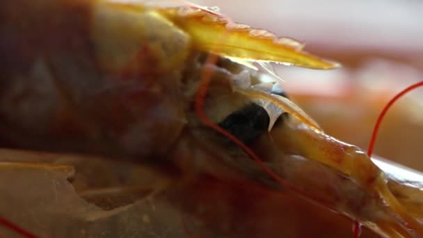 Zavřít na čerstvé vařené růžové krevety oko — Stock video