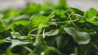 Yığınla taze salata sebzesi ve bitkiler yakın planda.