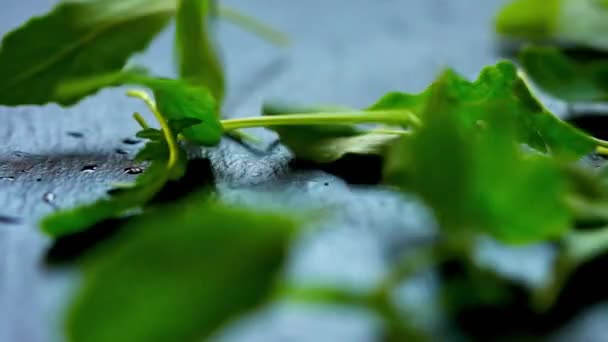 Seleção de ervas verdes frescas em close-up em uma placa — Vídeo de Stock