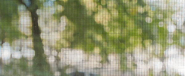 Tittar ut genom skärmen på träd utanför — Stockfoto