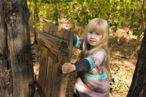 Happy little girl playing with a rustic gate — Stock Photo, Image