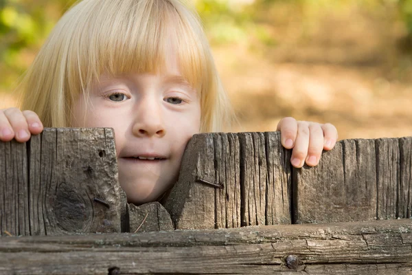 Hübsches kleines blondes Mädchen blickt über einen Zaun — Stockfoto