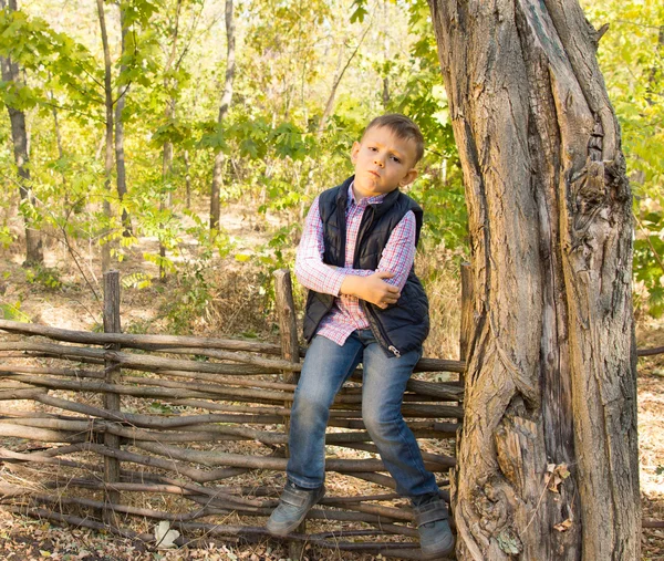 Malý chlapec sedí na rustikální dřevěný plot — Stock fotografie