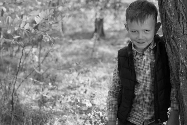 Porträt eines Jungen im Freien, der sich gegen Baum lehnt — Stockfoto