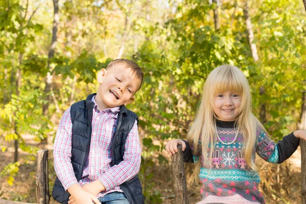 Niños pequeños y felices visitan el bosque durante el otoño —  Fotos de Stock