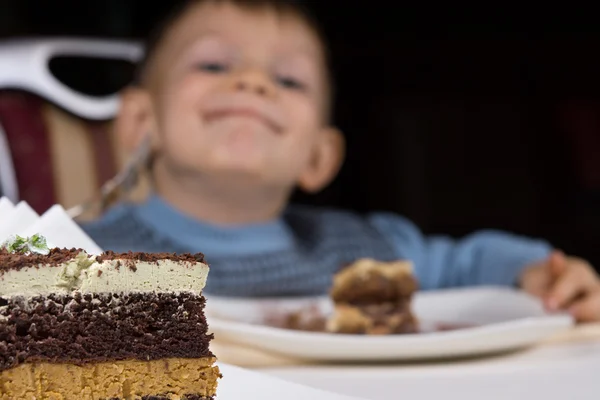 Nybakade lager tårta till efterrätt — Stockfoto