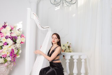 ARPI klasik bir konserde oynayan kadın