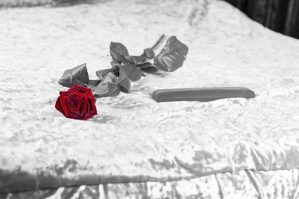 Romantische rote Rose und Geschenk auf dem Bett — Stockfoto