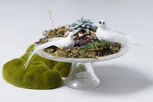 Centrepiece with Two White Doves, Moss and Lichens — Stock Photo, Image