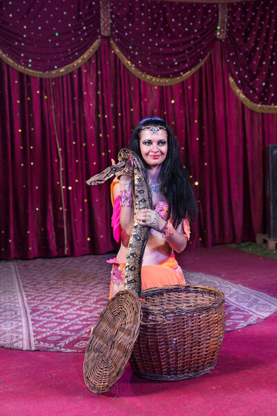 Заклинатель змей, удаляющий большую змею из корзины
