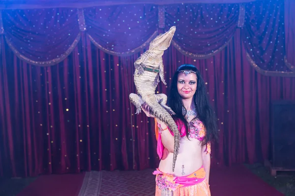 Exotic Belly Dancer Holding Small Crocodile — Stock Photo, Image