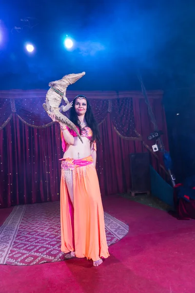 Exotic Belly Dancer Holding Small Crocodile — Stock Photo, Image