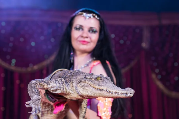 Exotic Belly Dancer Holding Small Crocodile — Stock Photo, Image