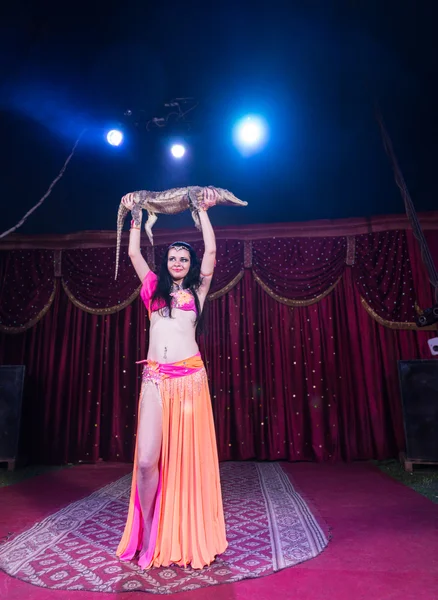 Belly Dancer Holding Alligator Above Head on Stage — Stock Photo, Image