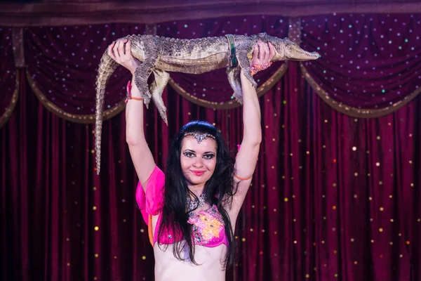 Exotic Belly Dancer Holding Crocodile Above Head — Stock Photo, Image