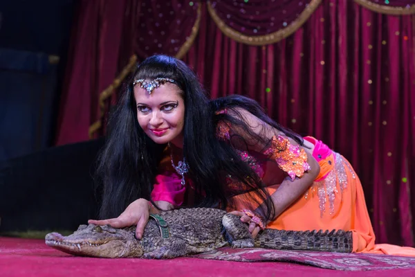 Exotic Dancer Petting Alligator on Stage — Stock Photo, Image