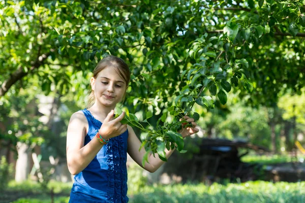 Jong meisje inspectie bladeren op groene boom — Stockfoto