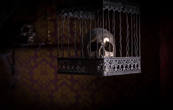 Crâne dans une cage décorée dans une chambre avec mur à motifs — Photo
