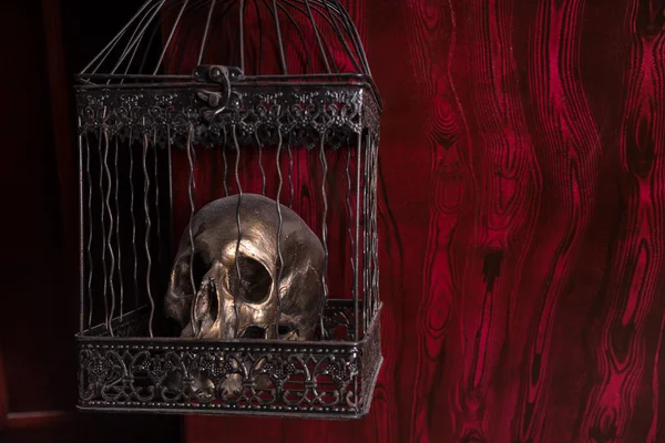 Shiny Skull in Ornate Cage Against Red Background — Stock Photo, Image