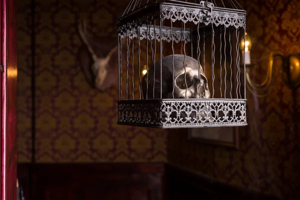 Skull in Ornate Cage Hanging in Candlelit Room — Stock fotografie