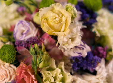 Diğer çiçeklerle birlikte sarı bir gülün yakın plan çekimi..