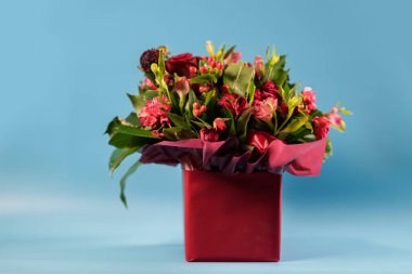 Mavi arka plandaki bir kutuda bir buket kırmızı çiçek..