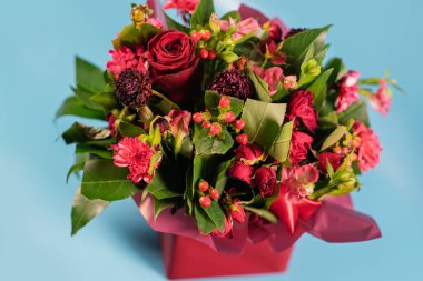 Mavi arkaplandaki kırmızı çiçeklerin üst görünümü.