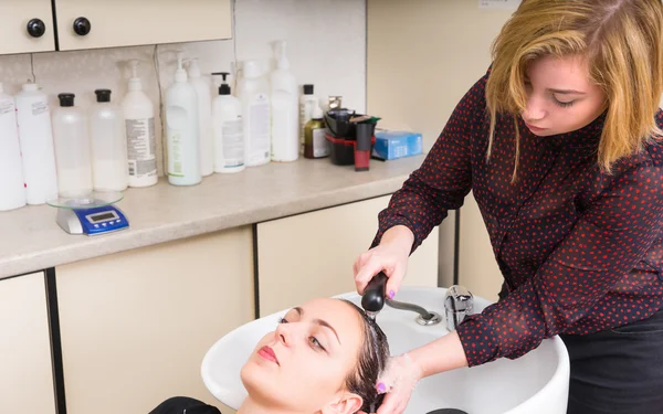 Woman Having Hair Washed by Stylist in Salon — стокове фото