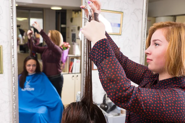 Estilista recortando el cabello de la morena cliente en el salón —  Fotos de Stock