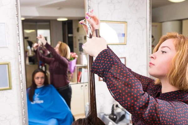 Stylistin trimmt Haare einer brünetten Kundin im Salon — Stockfoto