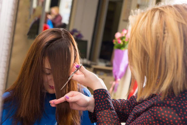 Estilista de corte Bangs para el cliente con cabello castaño — Foto de Stock