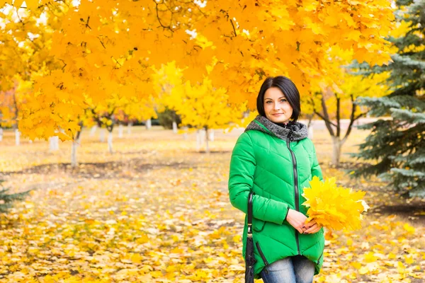 Attraente giovane donna che raccoglie foglie d'autunno — Foto Stock