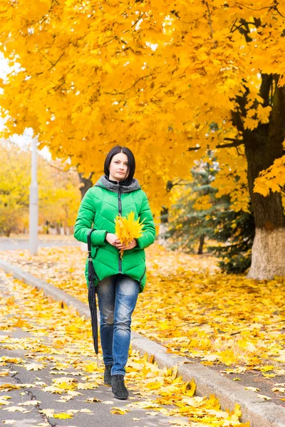 Fashionable young woman collecting fall leaves — 스톡 사진