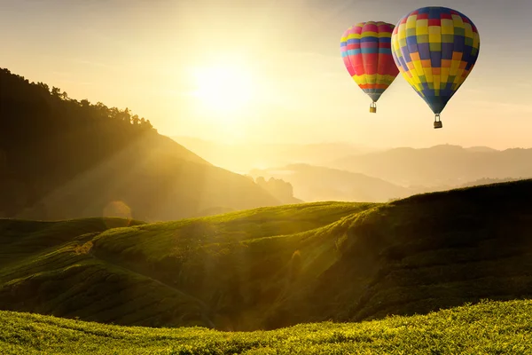 Çay plantasyon üzerinde uçan balon — Stok fotoğraf
