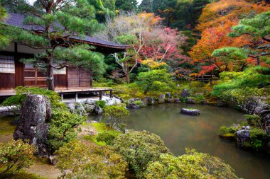 Japon bahçe Ginkakuji Tapınak