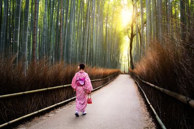 Arashiyama bambu bahçeleri