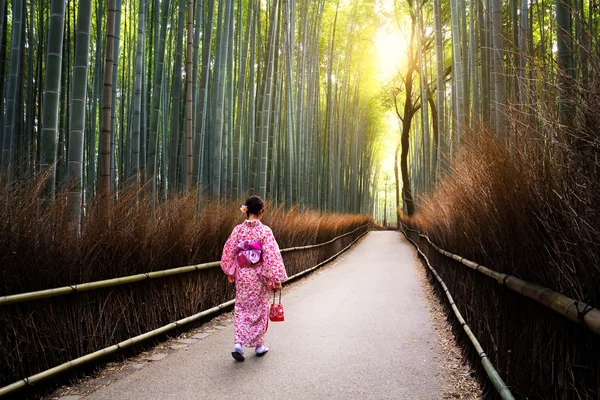 Το μπαμπού άλση της Arashiyama — Φωτογραφία Αρχείου