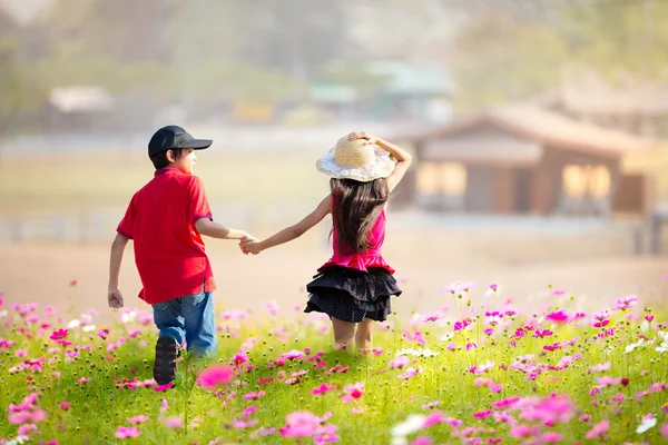 Amusement des enfants au champ de fleurs cosmos — Photo